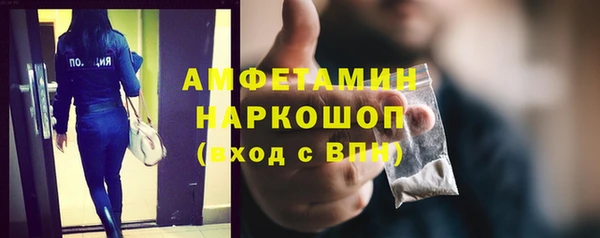 mdpv Бородино